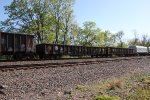 NS 187631 and GONX 310602